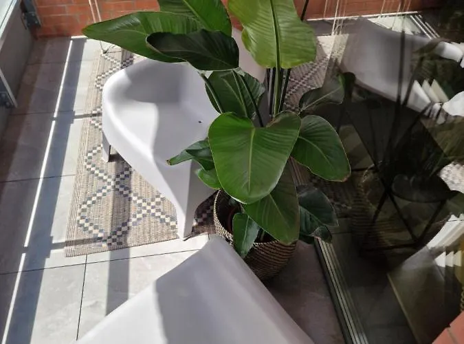 Piper Centrum Scala Apartman