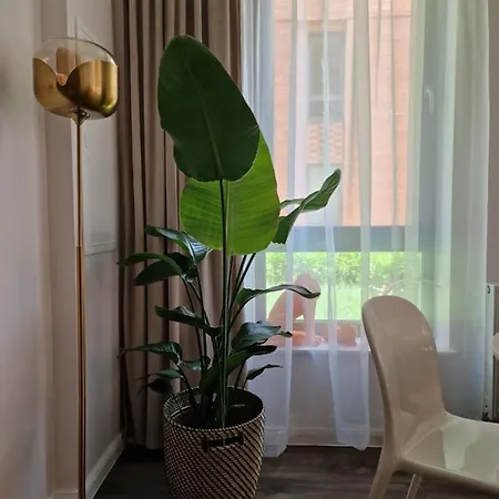 Piper Centrum Scala *